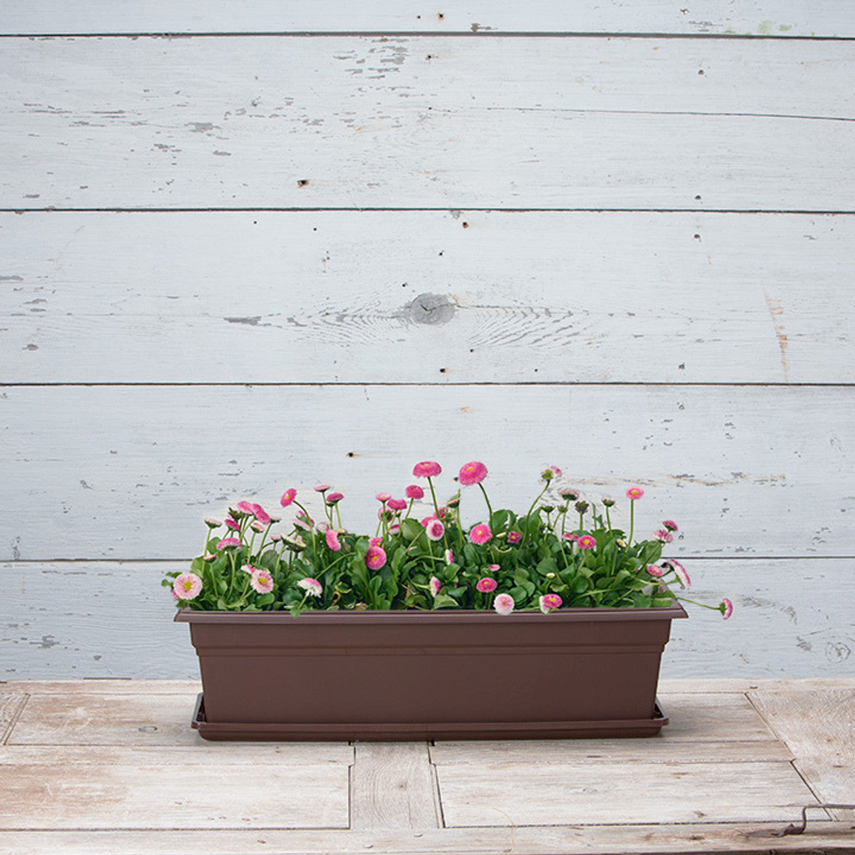 18" Flower Box Planter & Tray