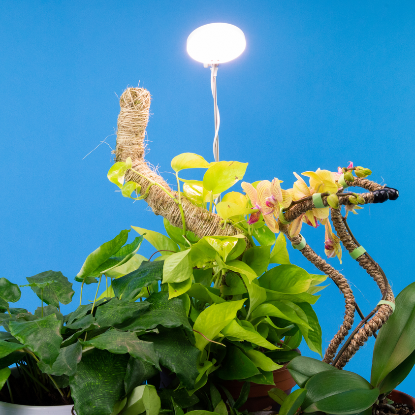 Adjustable 28" LED Plant Light