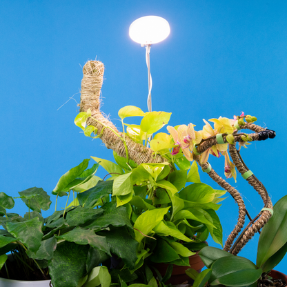 Adjustable 28" LED Plant Light