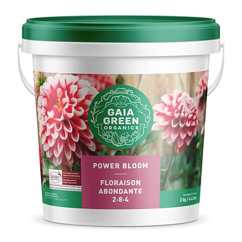 Gaia Green Power Bloom 2-8-4