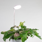 Adjustable 28" LED Plant Light