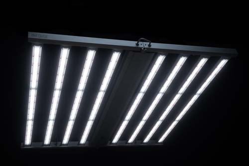 Fohse - Pisces Series LED Grow Lights for the Home Grower