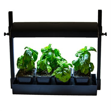 SunBlaster™ LED Micro Growlight Garden