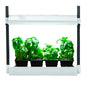 SunBlaster™ LED Micro Growlight Garden