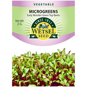 Early Wonder Green Top Beet Seed - Microgreens