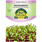 Early Wonder Green Top Beet Seed - Microgreens