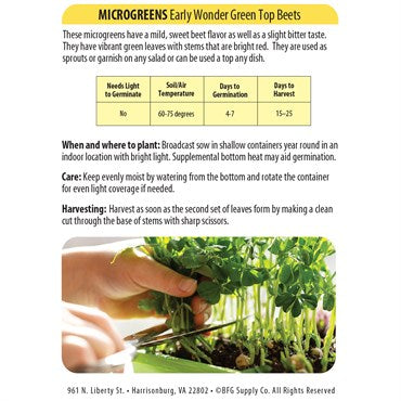 Early Wonder Green Top Beet Seed - Microgreens