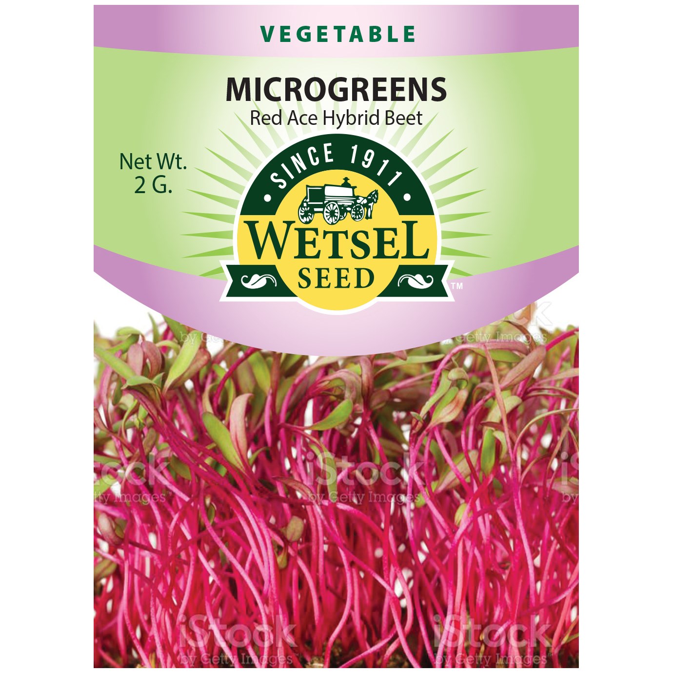 Red Ace Hybrid Beet Seeds - Microgreens