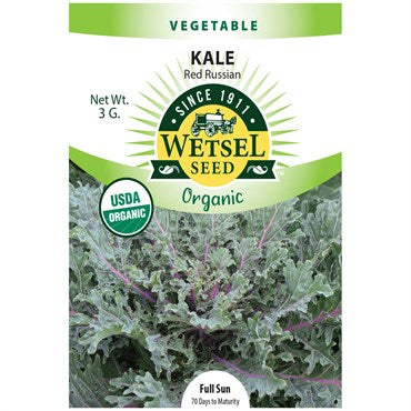 Organic Kale Seeds