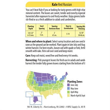 Organic Kale Seeds