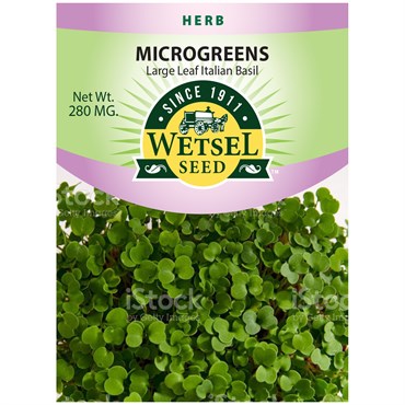 Large Leaf Italian Basil Seed - Microgreens