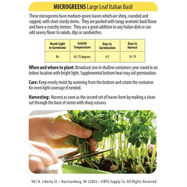 Large Leaf Italian Basil Seed - Microgreens