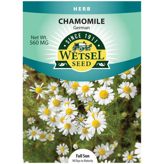 Chamomile Seeds