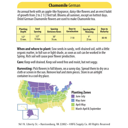 Chamomile Seeds