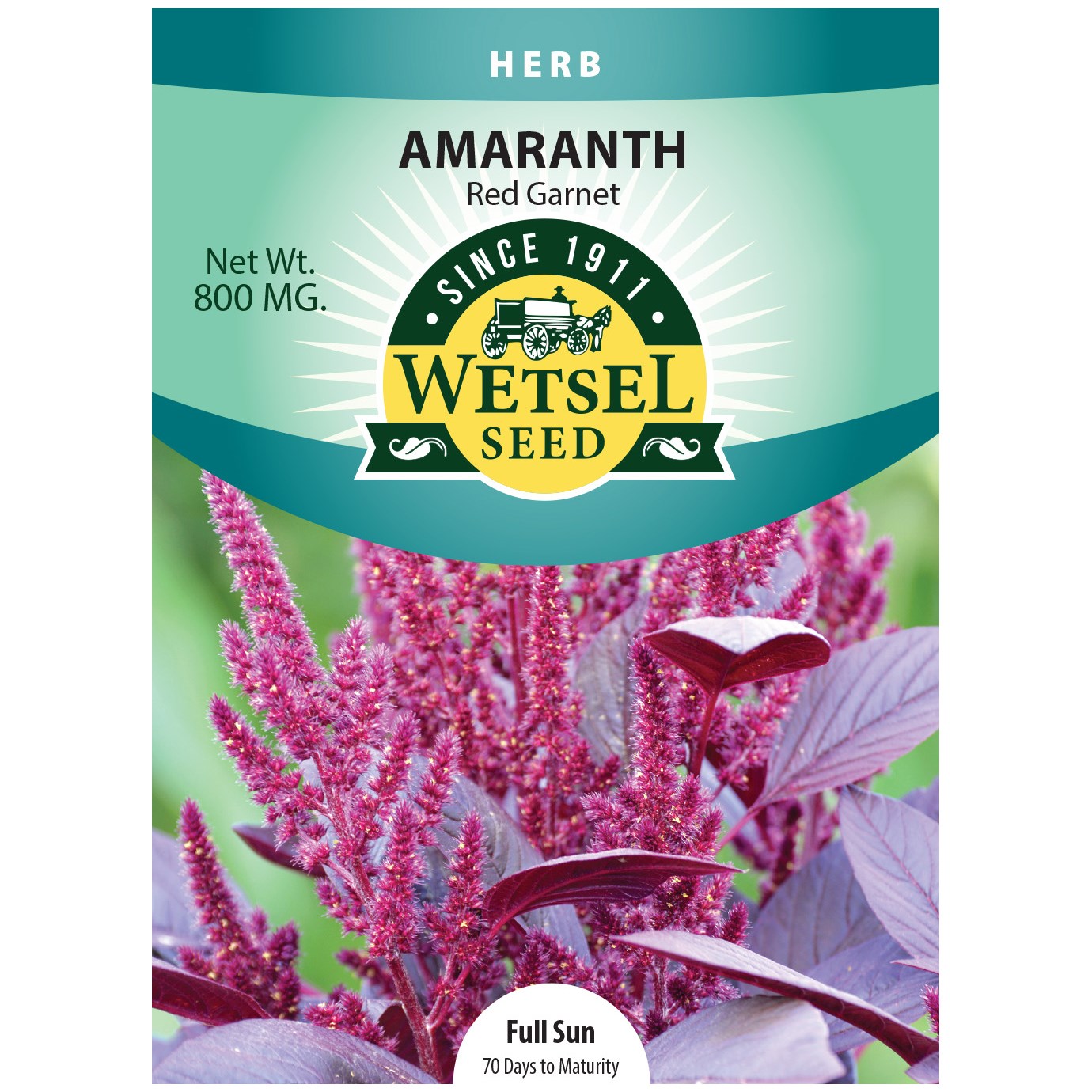 Amaranth Seeds