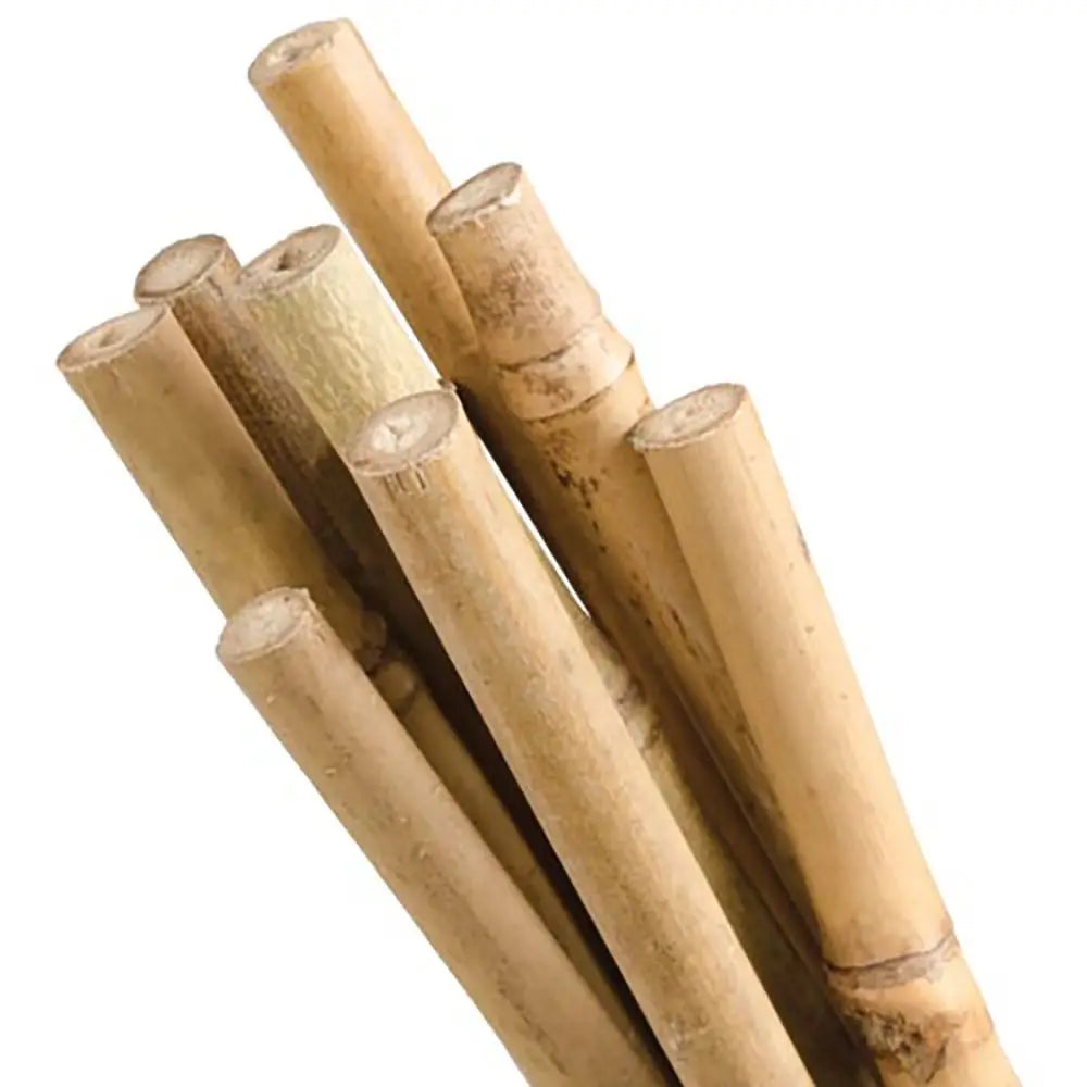 3' Natural Bamboo Stakes