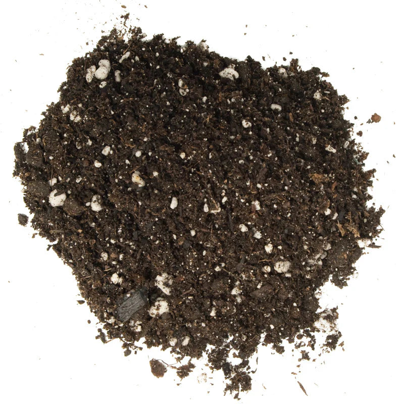 FoxFarm® Ocean Forest® Potting Soil - 1.5 cu ft bag