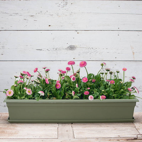 18" Flower Box Planter & Tray