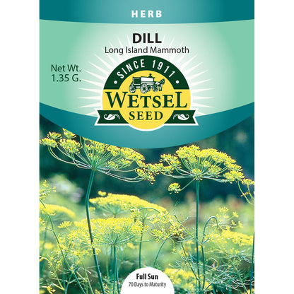 Dill Seeds