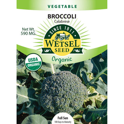 Organic Broccoli Seeds