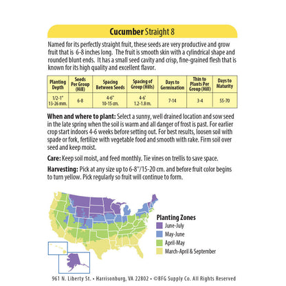 Organic Cucumber Seeds