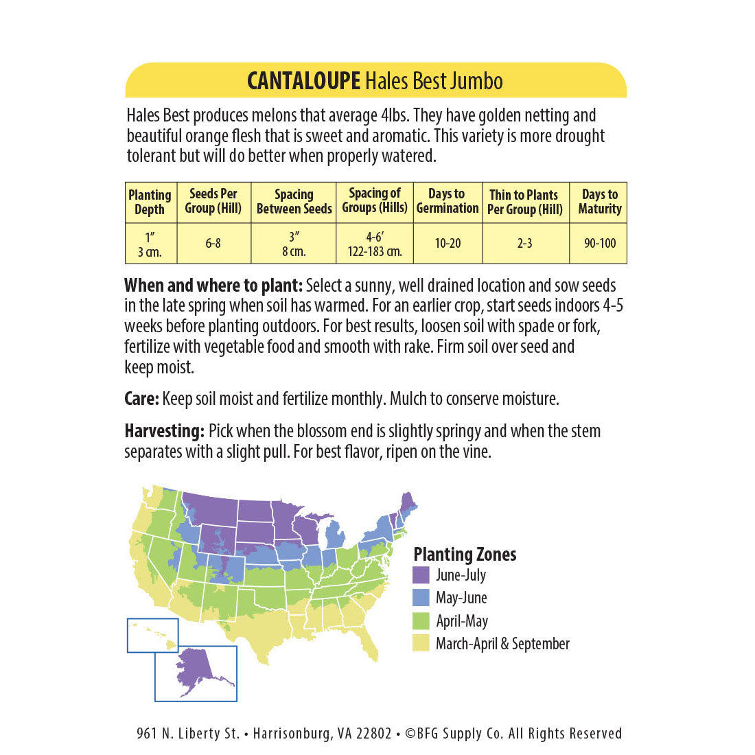 Organic Cantaloupe Seeds