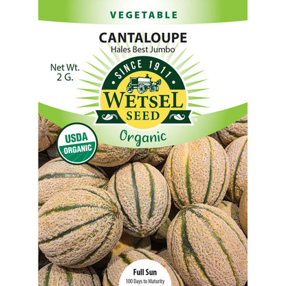 Organic Cantaloupe Seeds