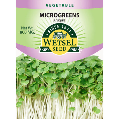 Arugula - Microgreens