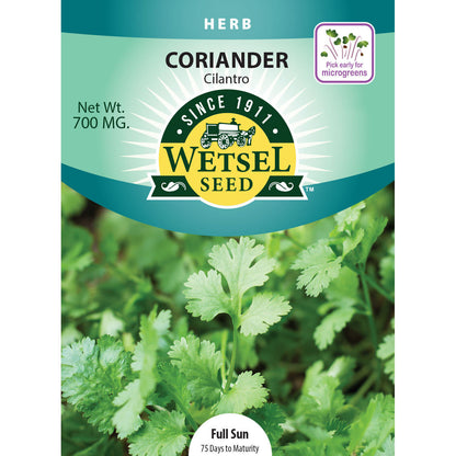 Coriander Seeds