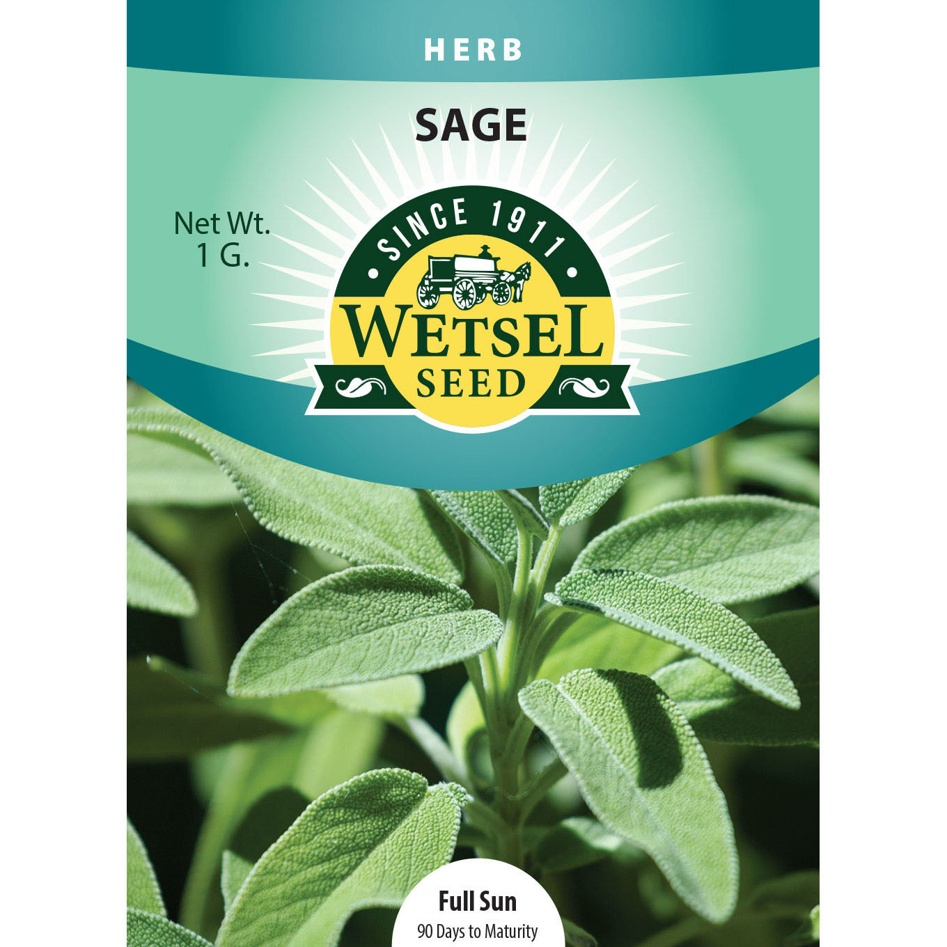 Sage Seeds