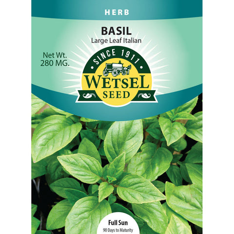 Basil Seed - Large Leaf Italian Basil Seed